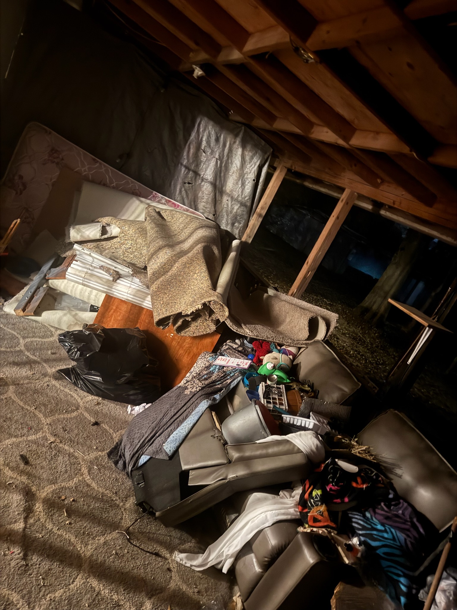 Additional junk removal project photo