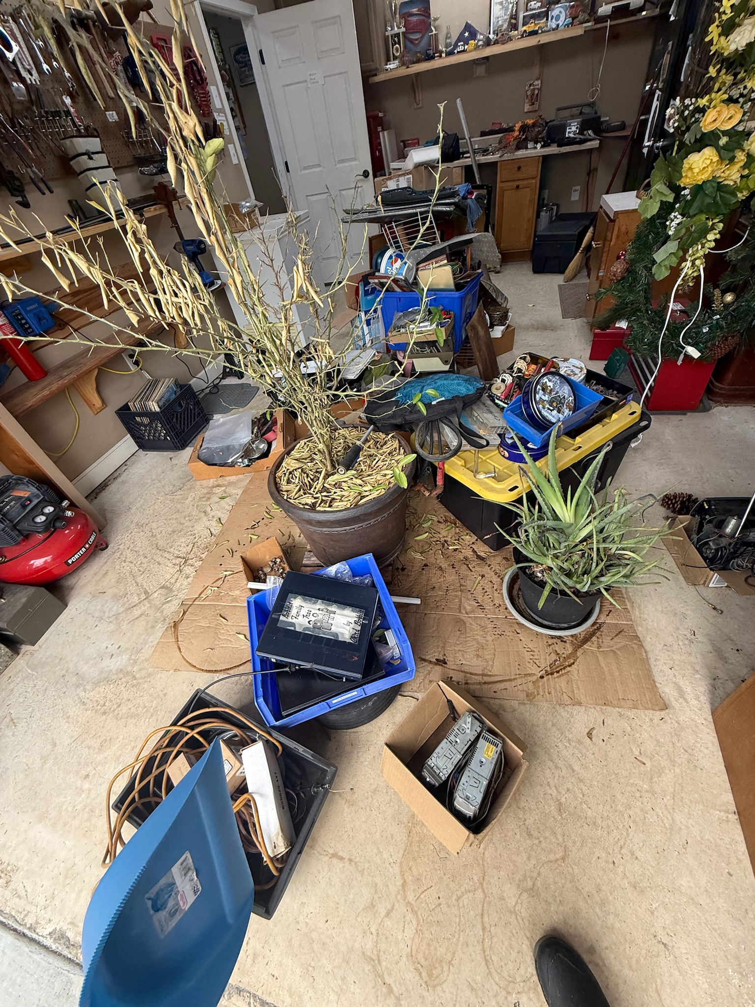 Outdoor area before debris pickup